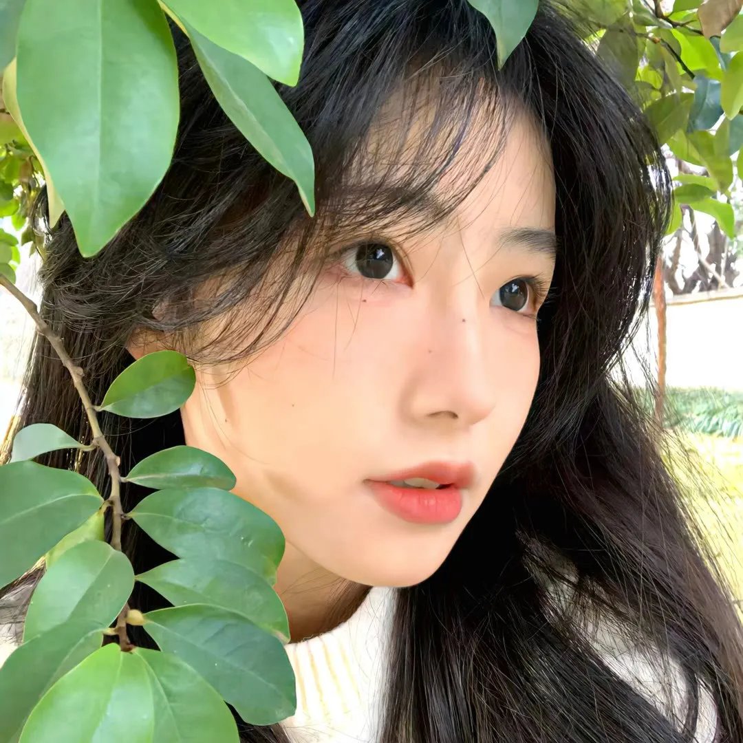 光的画家-圣诞小屋